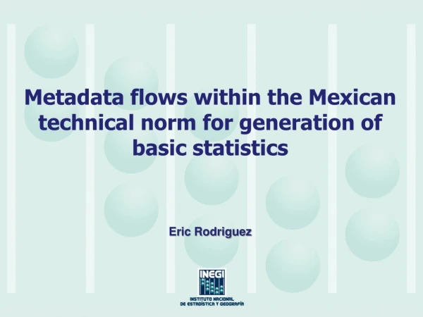 Metadata flows within the Mexican technical norm for generation of basic statistics