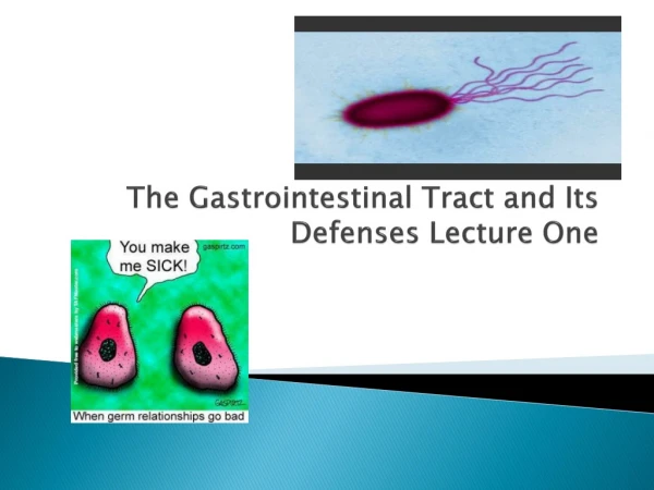 The Gastrointestinal Tract and Its Defenses Lecture One