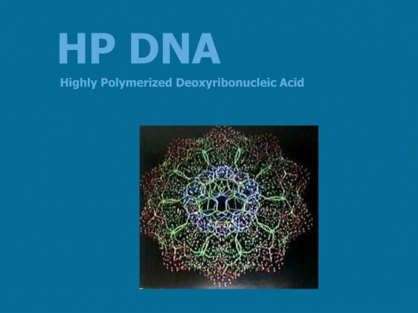 HP DNA
