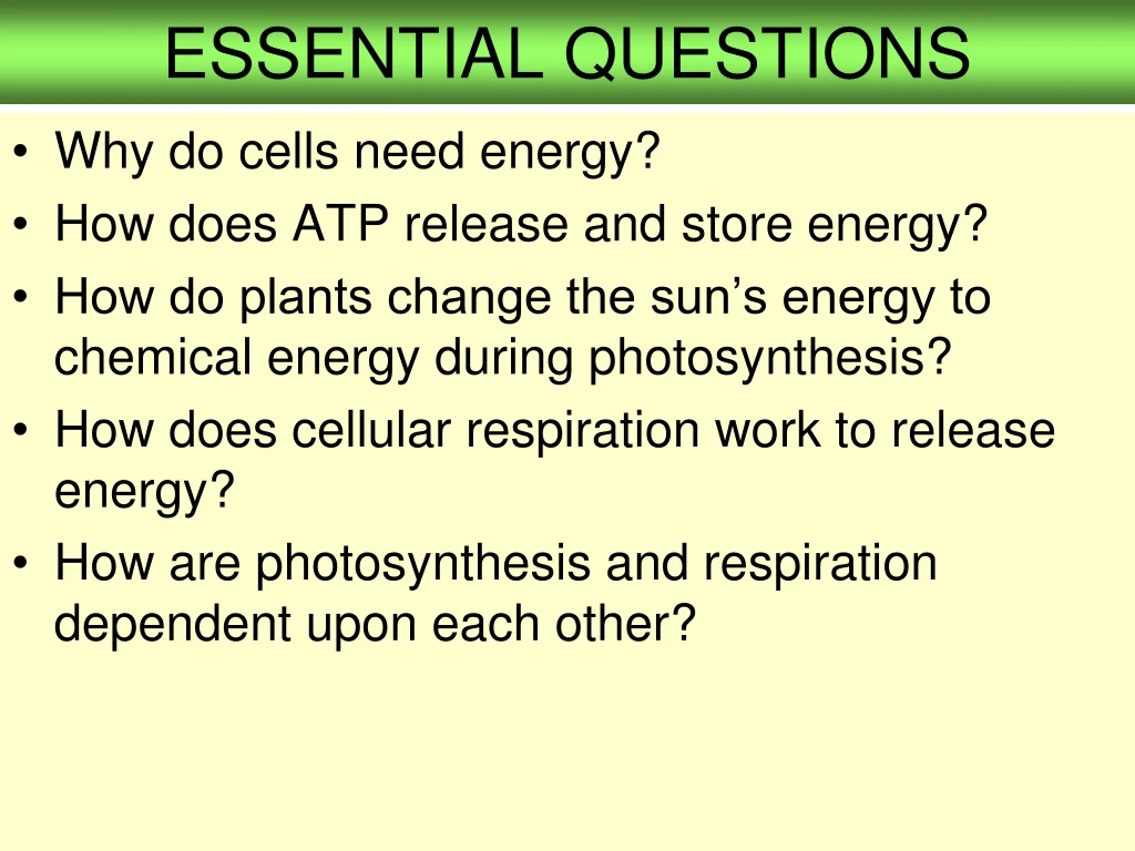 essential questions