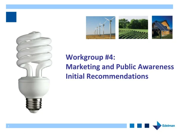 Workgroup #4:  Marketing and Public Awareness  Initial Recommendations