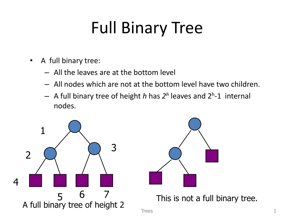 full binary tree