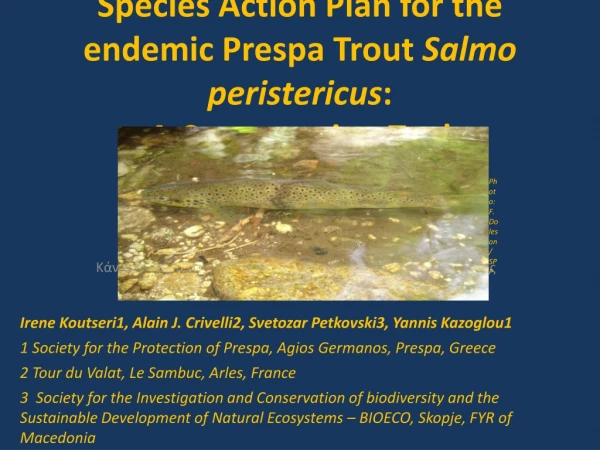 Species Action Plan for the endemic Prespa Trout  Salmo peristericus :  A Conservation Tool