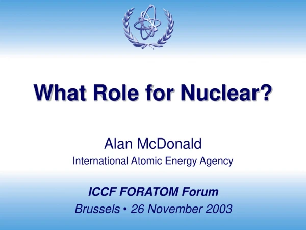 What Role for Nuclear?
