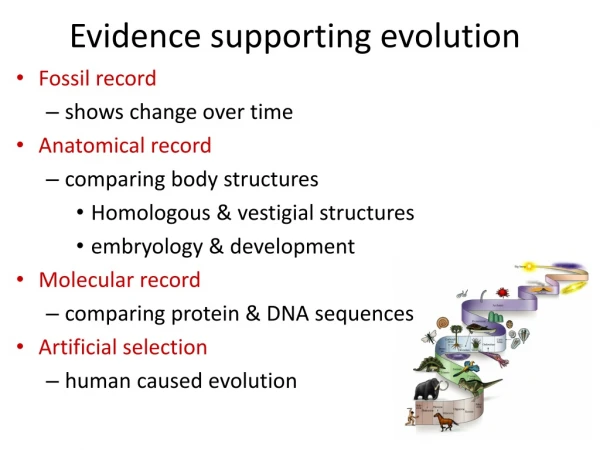 Evidence supporting evolution