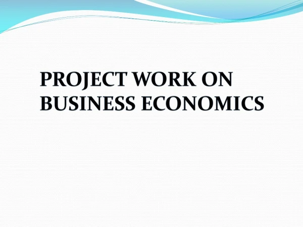 PROJECT WORK ON  BUSINESS  ECONOMICS