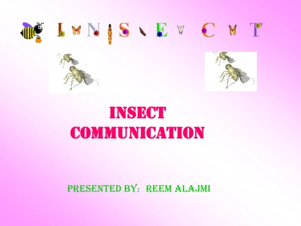 Insect communication Reem Alajmi Presented by :