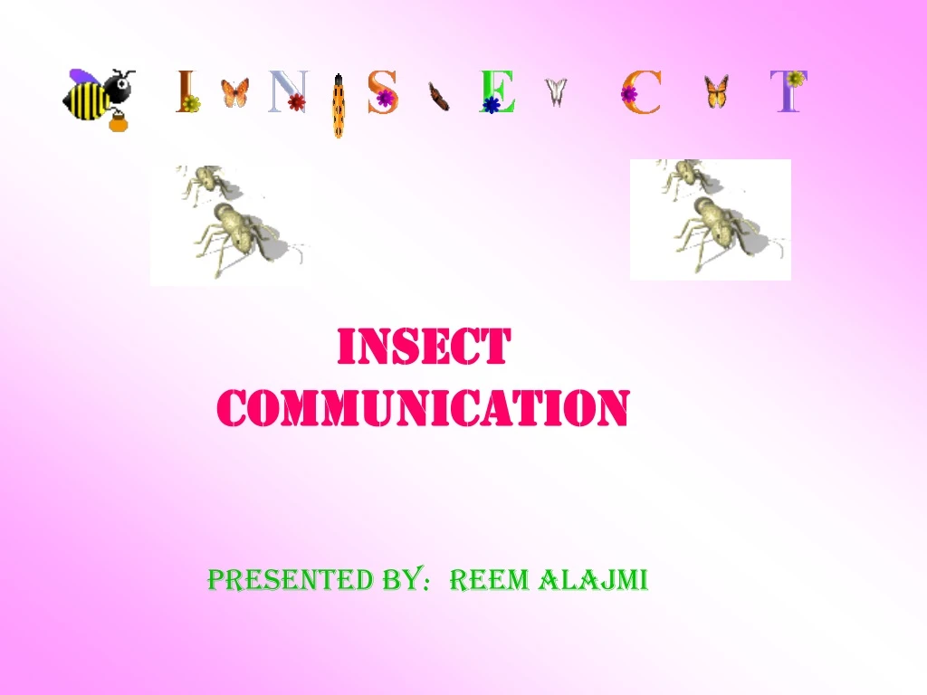 insect communication reem alajmi presented by