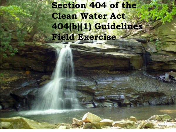 Section 404 of the  Clean Water Act   404(b)(1) Guidelines Field Exercise