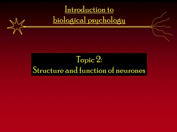 Introduction to  biological psychology