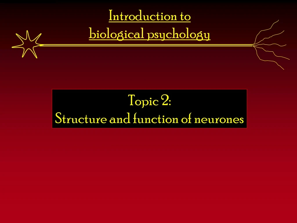 introduction to biological psychology