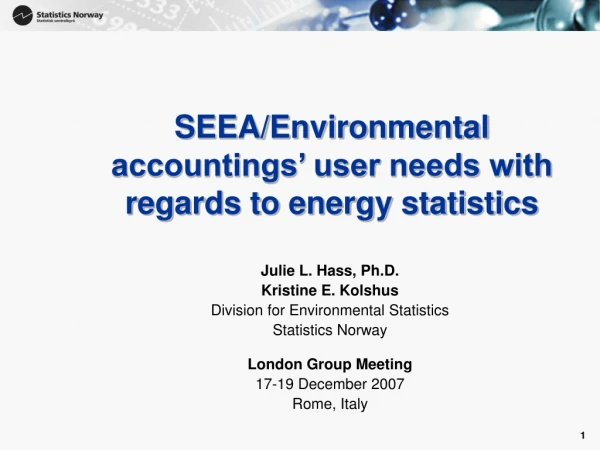 SEEA/Environmental accountings’ user needs with regards to energy statistics