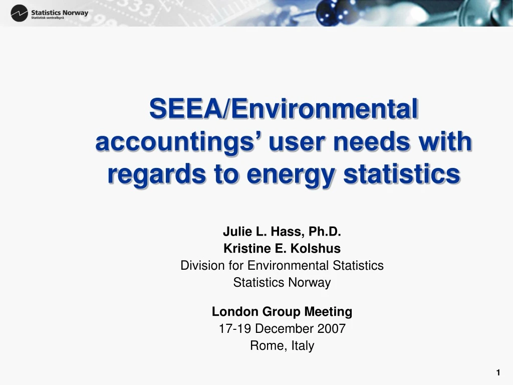 seea environmental accountings user needs with regards to energy statistics