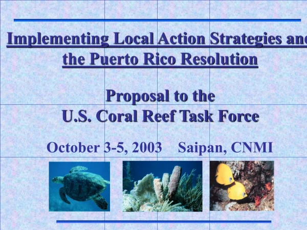 Implementing Local Action Strategies and the Puerto Rico Resolution Proposal to the