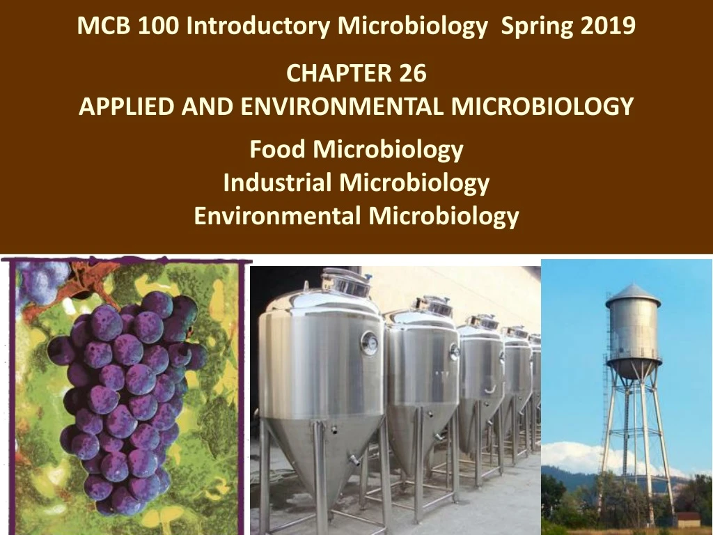 mcb 100 introductory microbiology spring 2019