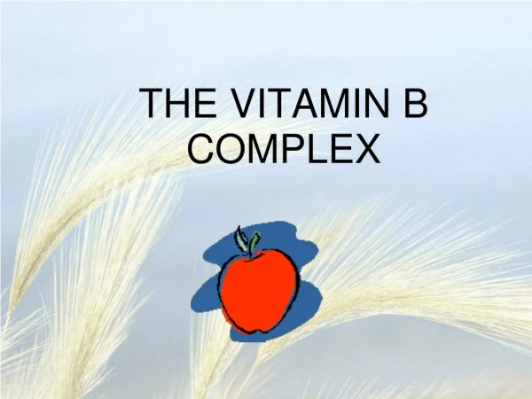 THE VITAMIN B COMPLEX