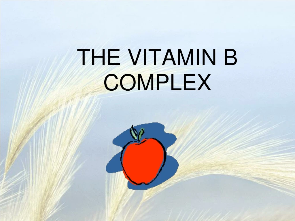 the vitamin b complex