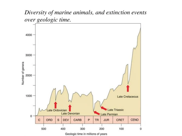 Diversity of marine animals, and extinction events over geologic time.