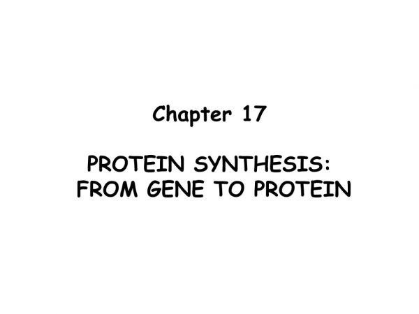 Chapter 17 PROTEIN SYNTHESIS:  FROM GENE TO PROTEIN