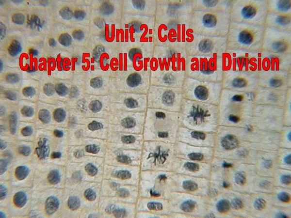 Unit 2: Cells Chapter 5: Cell Growth and Division