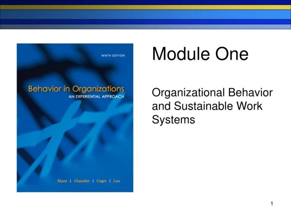 Module One Organizational Behavior  and Sustainable Work  Systems