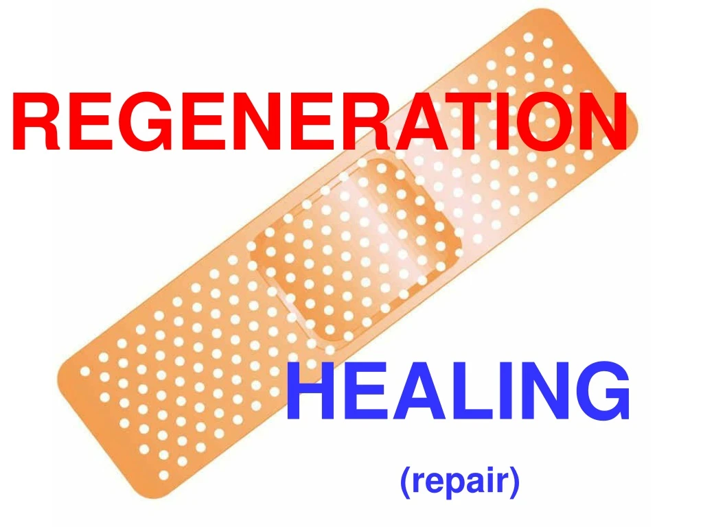 regeneration