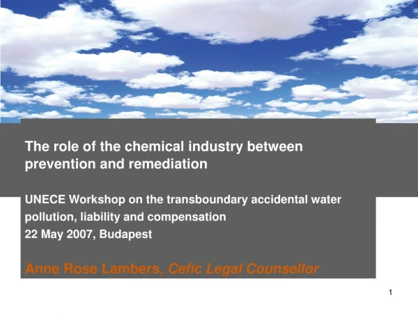 The role of the chemical industry between prevention and remediation