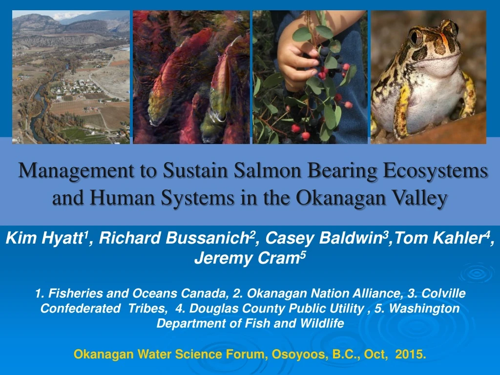 management to sustain salmon bearing ecosystems
