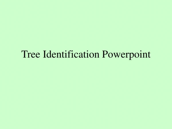 Tree Identification Powerpoint