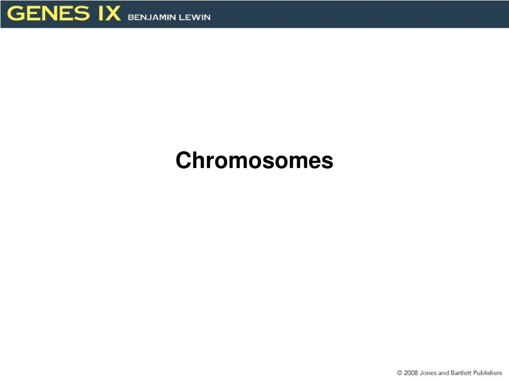 chromosomes