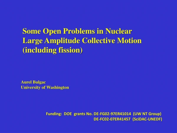 Some Open Problems in Nuclear  Large Amplitude Collective Motion (including fission)