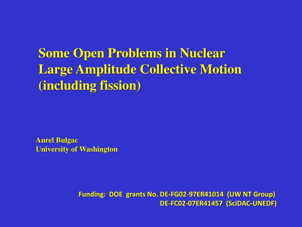 some open problems in nuclear large amplitude