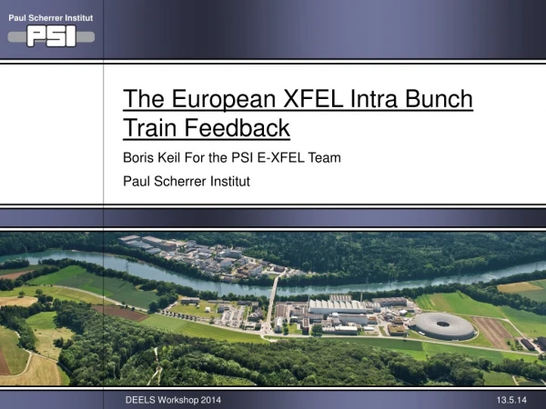 The European XFEL Intra Bunch Train Feedback