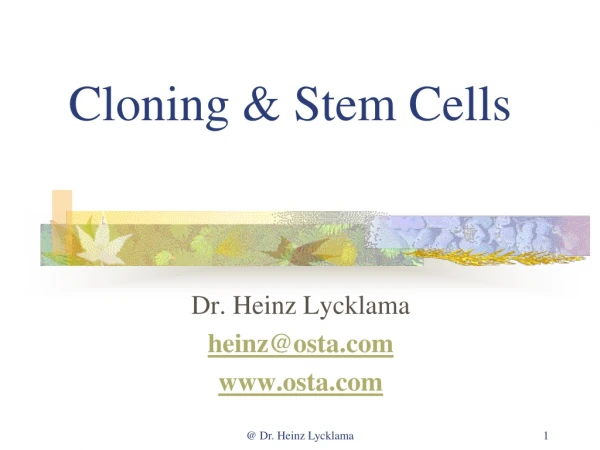 Cloning &amp; Stem Cells