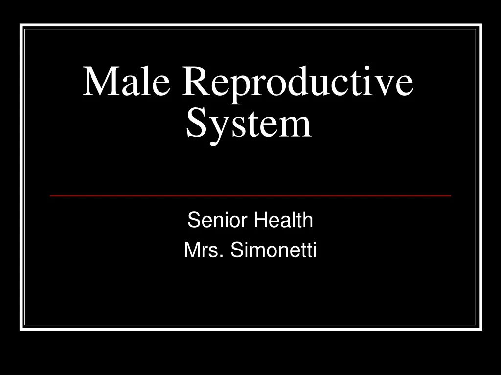 male reproductive system