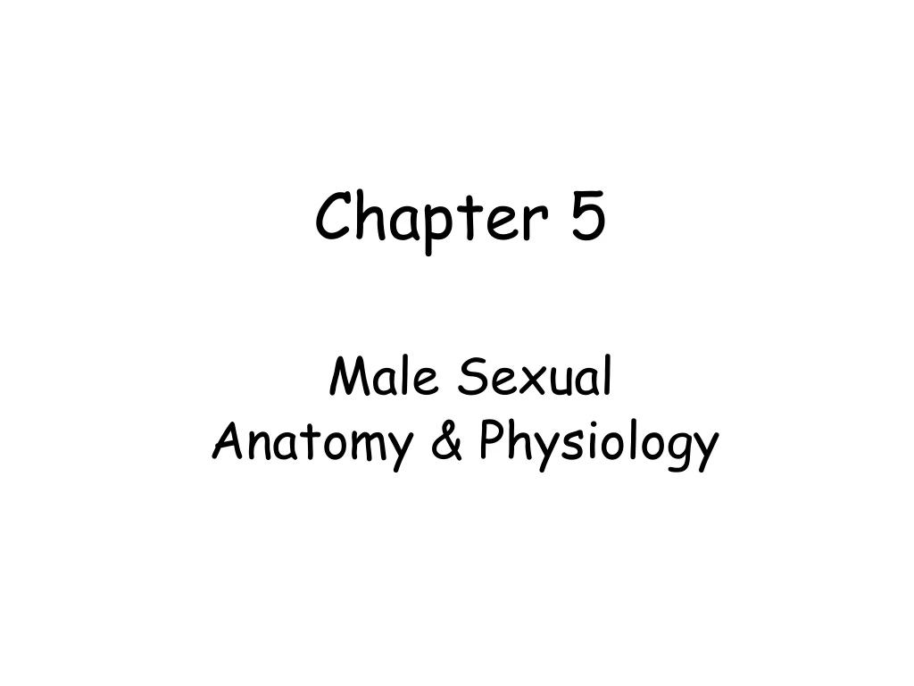 chapter 5 male sexual anatomy physiology