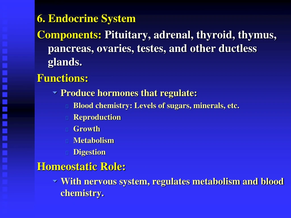 6 endocrine system components pituitary adrenal