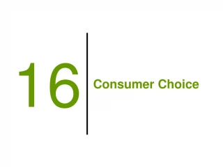 Consumer Choice - slide 1