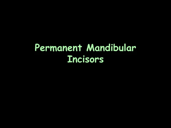 Permanent Mandibular Incisors