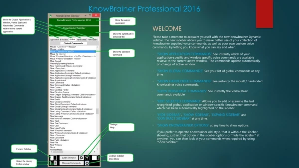 KnowBrainer Professional 2016