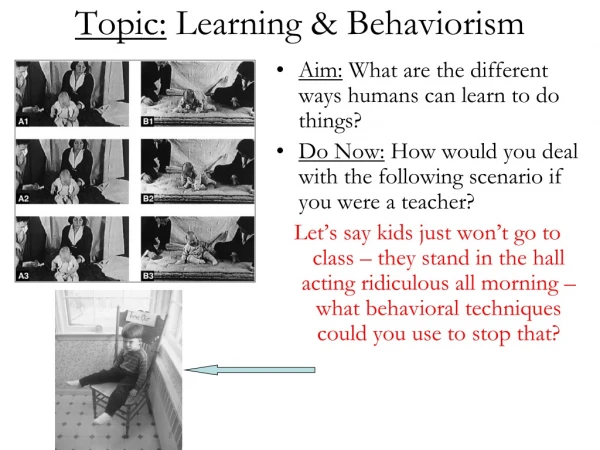 Topic:  Learning &amp; Behaviorism