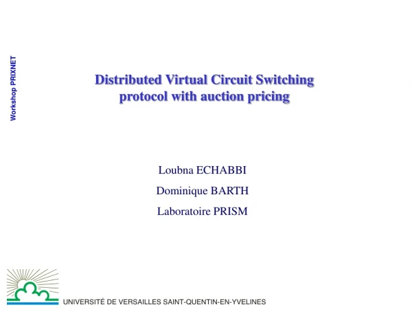 Distributed Virtual Circuit Switching protocol with auction pricing