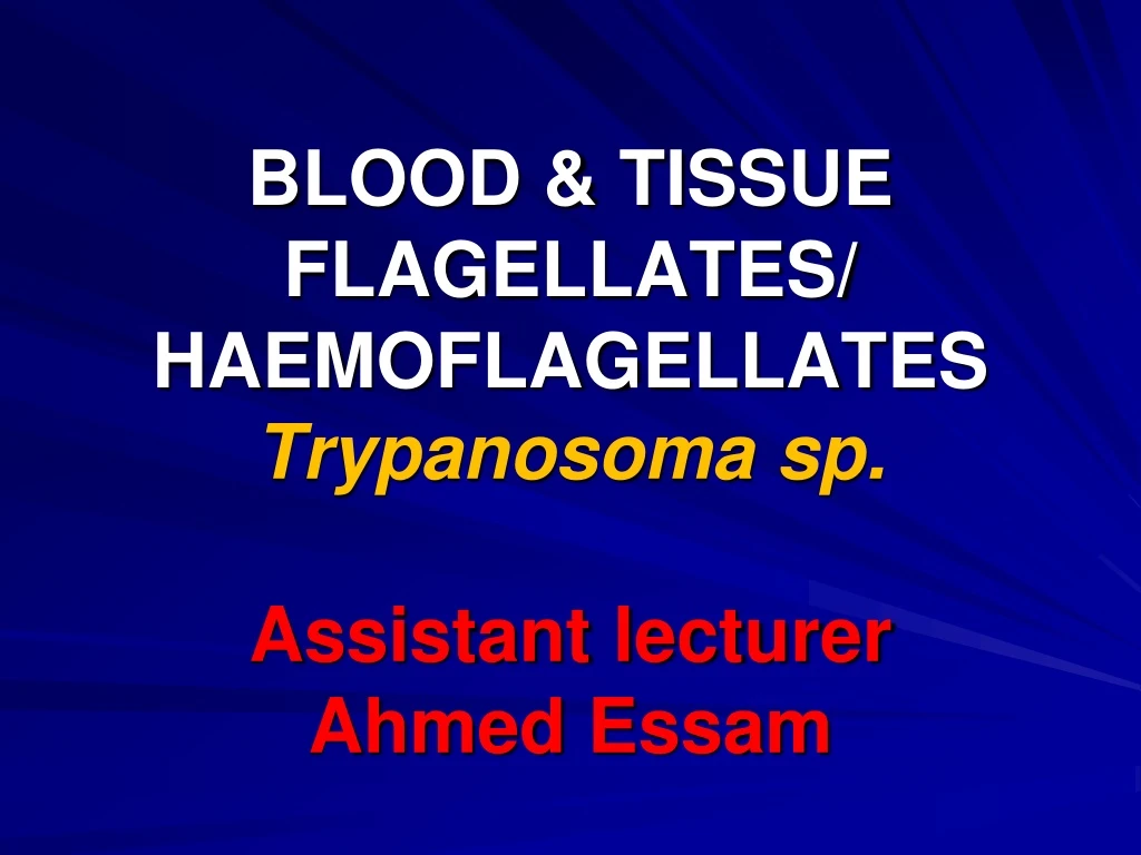 blood tissue flagellates haemoflagellates trypanosoma sp assistant lecturer ahmed essam