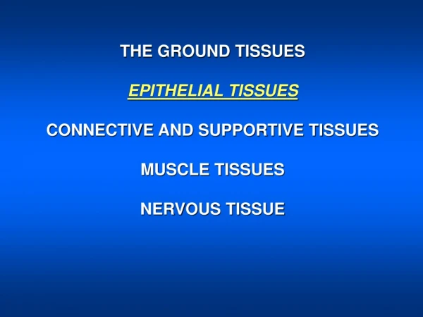 THE GROUND TISSUES EPITHELIAL TISSUES CONNECTIVE AND SUPPORTIVE TISSUES MUSCLE TISSUES