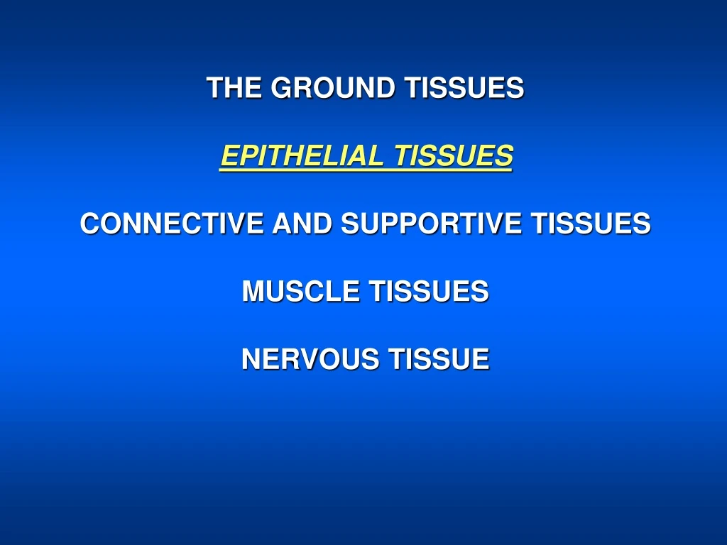 the ground tissues epithelial tissues connective