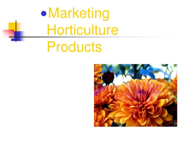 Marketing Horticulture Products