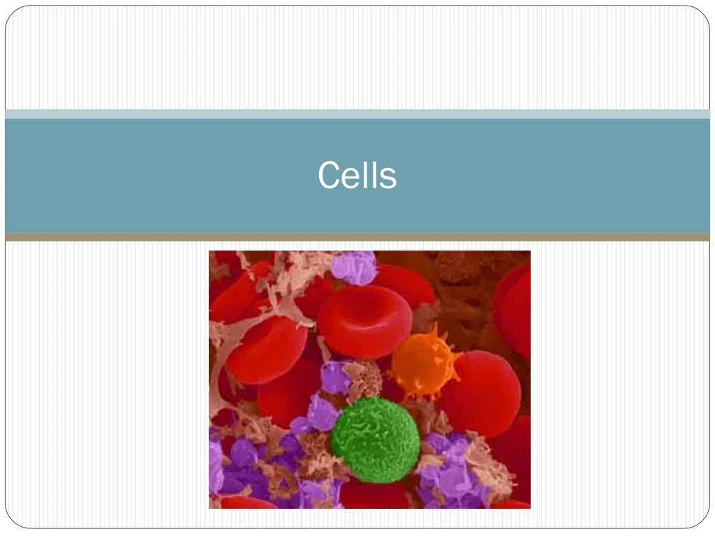 cells