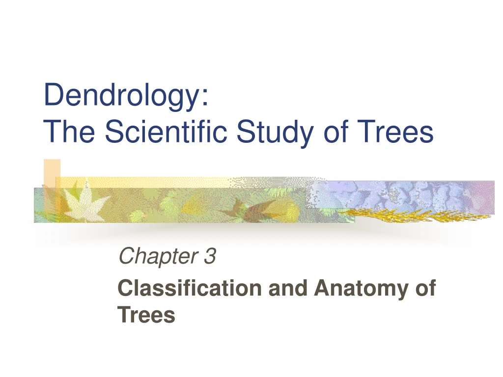 dendrology the scientific study of trees