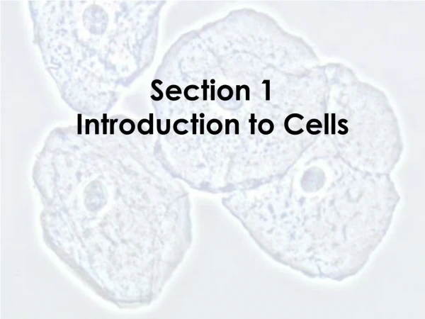 Section 1 Introduction to Cells