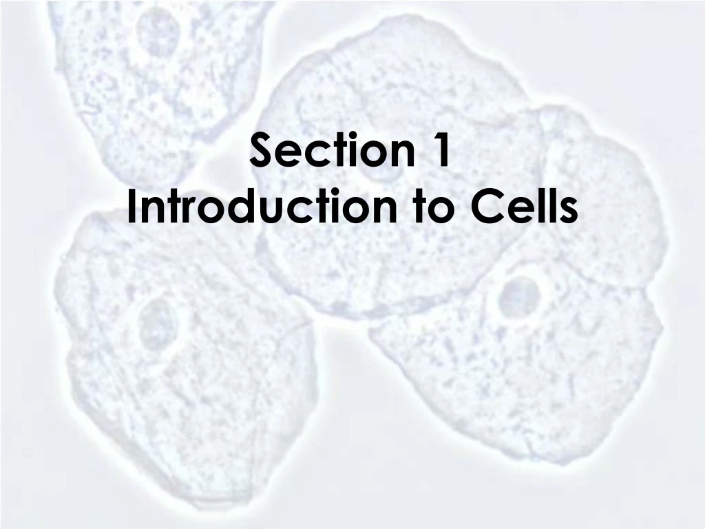 section 1 introduction to cells